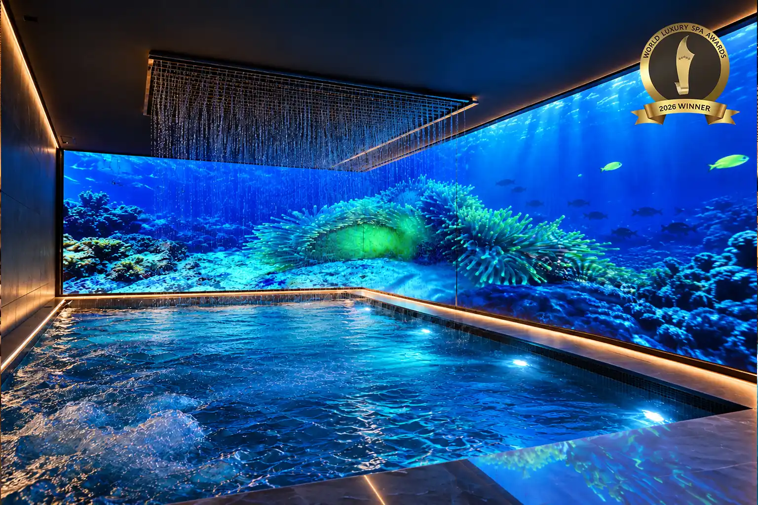 4снимка_PulseTherme_Banya.jpg